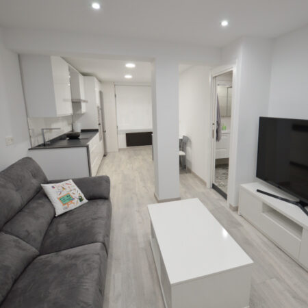 Reforma piso C/ Aller (Mieres)